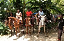 Combo Tour: Dunn's River Falls And Horse Back Riding