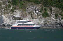 Glacier Quest Cruise - Self-Drive from Anchorage, AK
