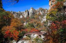 Mt. Seoraksan National Park Autumn Foliage Day Tour from Seoul