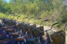 3 Santa Barbara Cemeteries and Bikes with Lunch from Merida