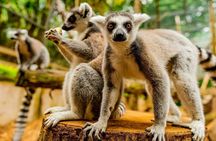 Crocodile Nature Park