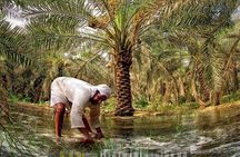A tour in Al Ahsa the largest Oasis in the world