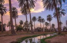 A tour in Al Ahsa the largest Oasis in the world