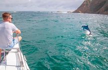 Knysna's best sailing & scenic adventure cruise - Lagoon, Knysna Heads & Ocean