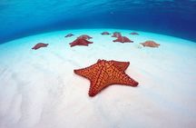 Cozumel Catamaran Snorkel Tour: El Cielo & Palancar with lunch
