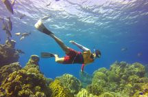 Cozumel Catamaran Snorkel Tour: El Cielo & Palancar with lunch