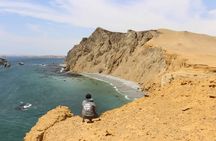 7-Hours Tour in Paracas National Reserve with Pickup