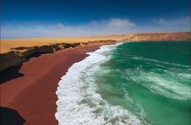7-Hours Tour in Paracas National Reserve with Pickup