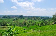 Full Day Wonders of Bali Group Tour with Pickup and Lunch