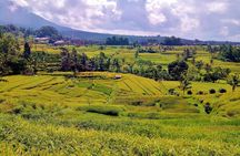 Full Day Wonders of Bali Group Tour with Pickup and Lunch