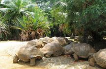 Southern Tales: Full-day incl Crocodile Park & 23 Colored Earth