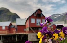 Lofoten VIP PRIVATE Tour from Leknes city / port