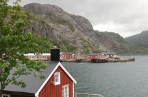 Lofoten VIP PRIVATE Tour from Leknes city / port