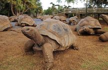 Southern Tales: Full-day incl Crocodile Park & 23 Colored Earth