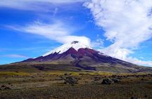 Cotopaxi Horseback Ride: El Pedregal Valley Day Tour from Quito