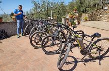 Discovering Chianti: Sunset eBike Tour and Dinner