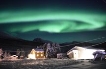 Northern lights chase VIP PRIVATE from Svolvaer