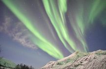 Northern lights chase VIP PRIVATE from Svolvaer