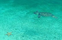 Stroll and Initiation to Sailing in the Baie des Saintes
