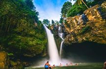 Bali Night Market Experience and Ubud Highlights tour 