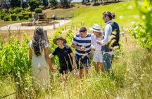 Gemtree Wines: Being Biodynamic Tour