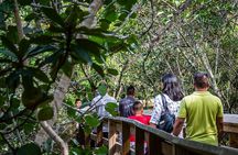 MIAMI: Everglades Airboat, Wildlife Gator Show and Photo 