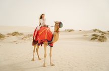 Snack & Chill at the Inland Sea | Desert Safari | Dune Bashing