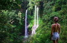 13-Hour Private Sekumpul & Aling-Aling Waterfall Tour (All-Inclusive)