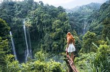 13-Hour Private Sekumpul & Aling-Aling Waterfall Tour (All-Inclusive)