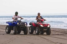 Private 3h00 quad ride on the island of Djerba