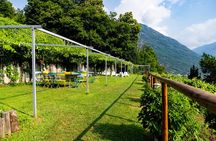 Food and Wine Tasting in the Ossola Valley