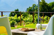 Savor Ossola Wines & Local Treats in a Scenic Vineyard