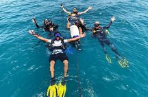 Pleasure Scuba Diving in Fujairah for Certified Diver 