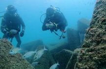 Pleasure Scuba Diving in Fujairah for Certified Diver 