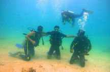 Pleasure Scuba Diving in Fujairah for Certified Diver 
