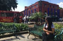Coyoacán and Xochimilco including Frida Kahlo Museum