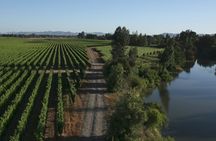 Full Day Private Colchagua Wine Tour from Santiago 
