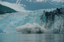 26 Glacier Cruise and Coach from Anchorage, AK