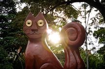 Cali: Historic city, full of stories (Special city tour)