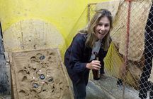 Tejo and Craft Beer Tour in Bogota