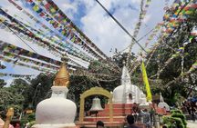 Kathmandu Valley Day Tour: 2 or 4 UNESCO Heritage Sites Option