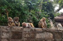 Chandrigiri Cable Car and Monkey Temple Private Day Tour