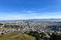 Private San Francisco City Tour and Muir Woods with Sausalito