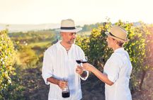 Private Tour: Napa and Sonoma Wine Country