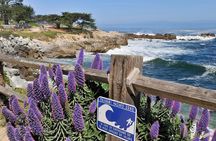 Private Monterey, Carmel and 17-Mile Drive Day Trip from San Francisco