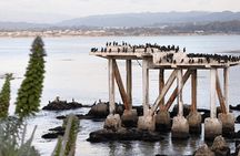 Private Monterey, Carmel and 17-Mile Drive Day Trip from San Francisco