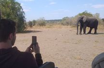 2-Hours Elephants Safari Day Tour in Victoria Falls