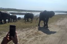 2-Hours Elephants Safari Day Tour in Victoria Falls