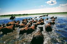 4-Day Private Hiking and Horseback Riding Tour in Corrientes