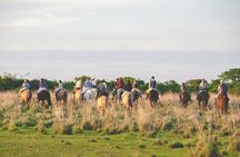 4-Day Private Hiking and Horseback Riding Tour in Corrientes
